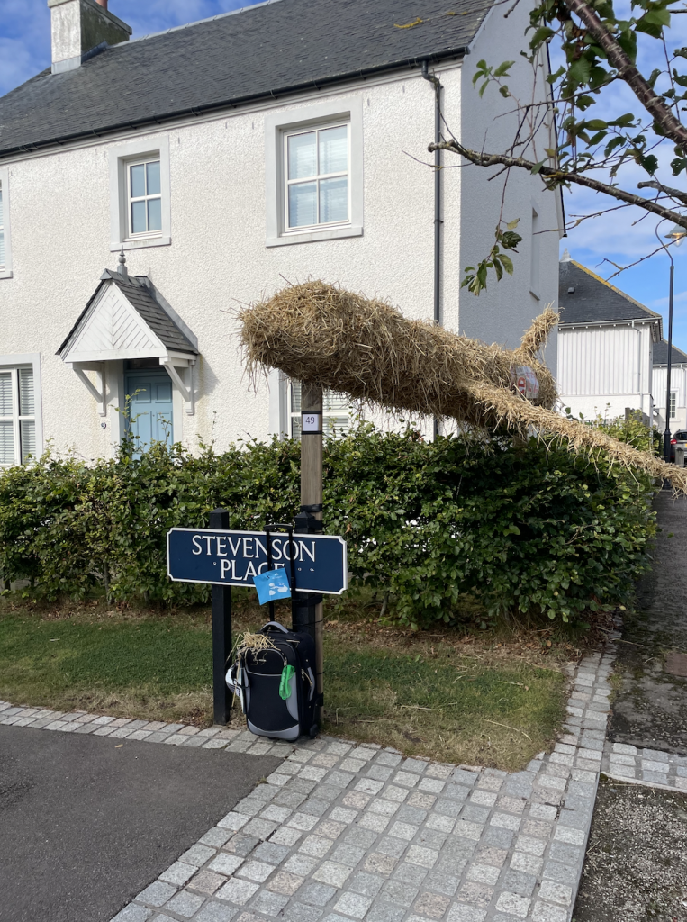 Screenshot-2025-09-16-at-14.40.39-1-763x1024 A look back at this year’s Scarecrow Festival!