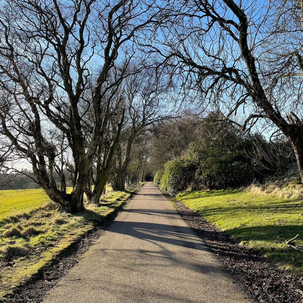 481271153_2869867259850862_865455686958577045_n-1024x1024 Autumn arrives in Chapelton