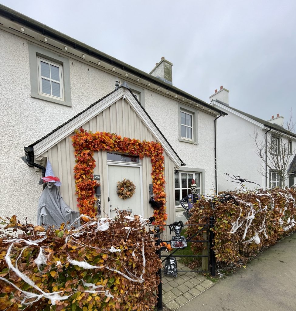 Photo-01-11-2024-13-30-16-975x1024 Autumn arrives in Chapelton